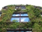 Il giardino verticale del Musée du quai Branly 26